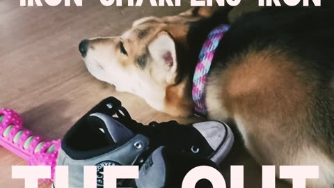 Iron sharpens iron- the cut