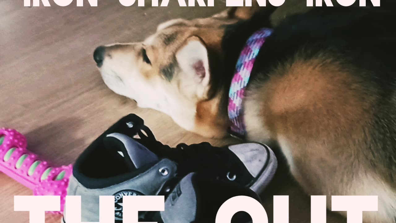 Iron sharpens iron- the cut