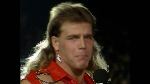 WWF Superstars January 16, 1993