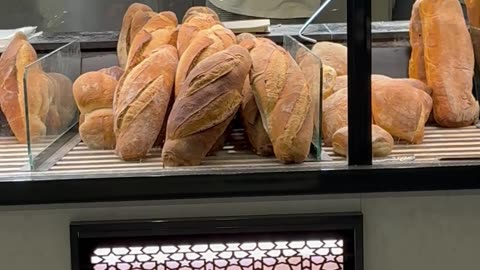 Rat Climbs Inside Bakery Display Case