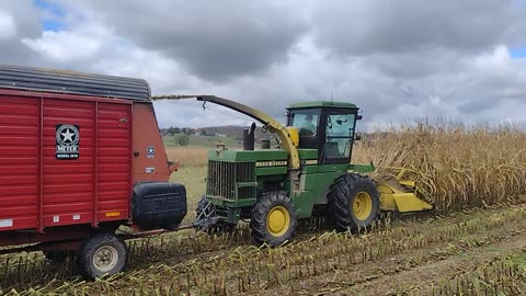 Chopping corn 2025