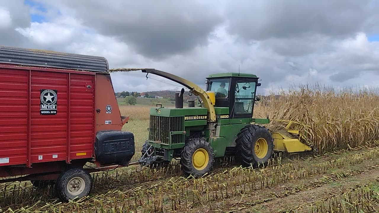 Chopping corn 2025