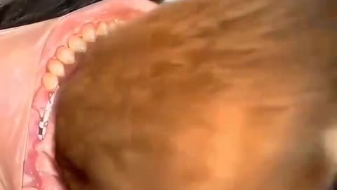 AI Be Weird
