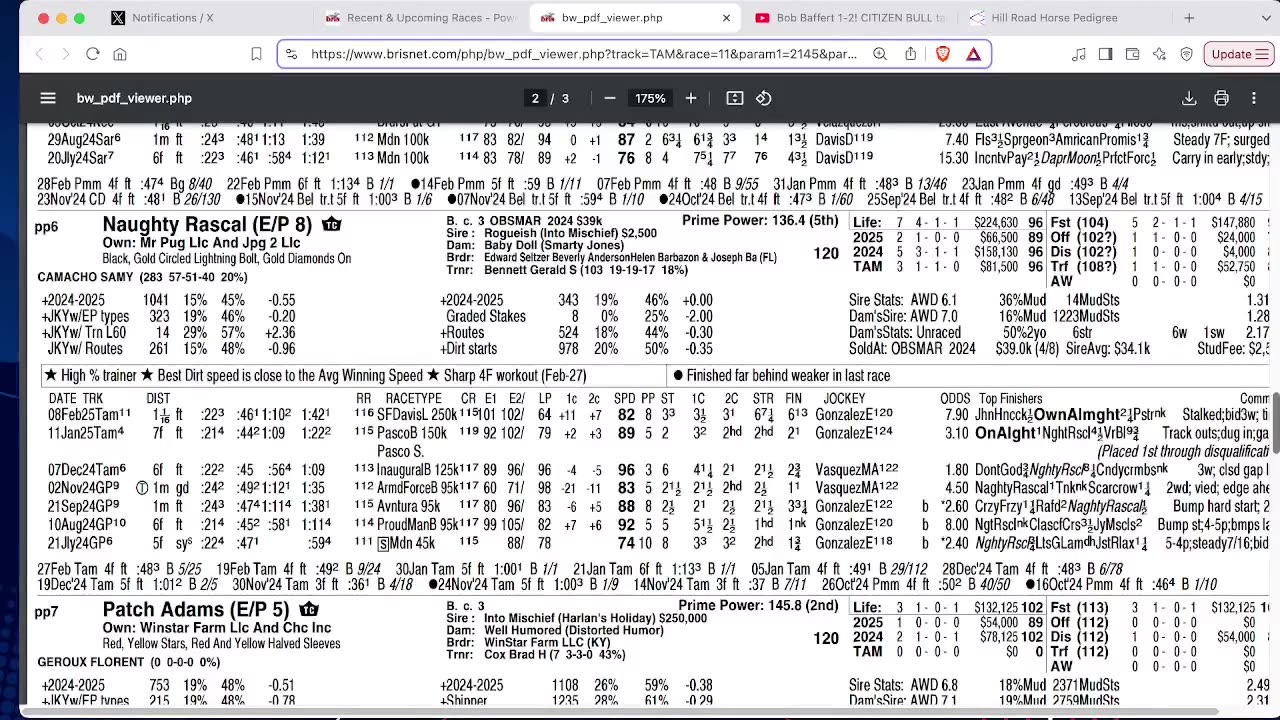 Capping Corner - Tampa Bay Derby 2025 - Can Patch Adams Beat Chancer McPatrick?