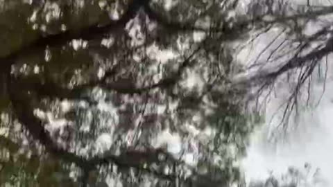 BRYAN DUNN VS THE SEKTUR EPISODE 1: Ralph does The Sektur (KOP Edition)