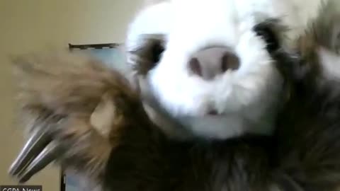 Special Report : Zelenskyy Discloses he now has a Miracle solution and a Secret Weapon after Davos