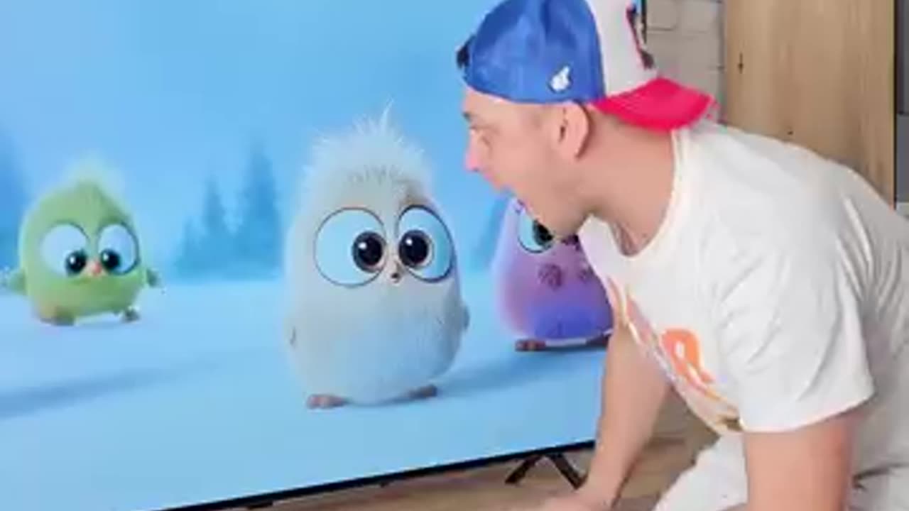 Funny video clip
