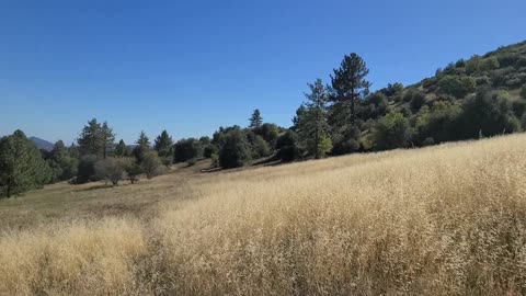 Hiking Cuyamaca 5 - Granite Springs(preview)