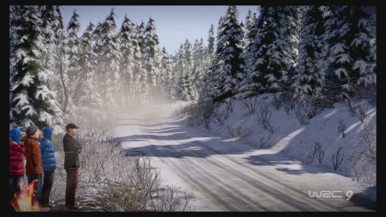 WRC9 (Ps5) Race3