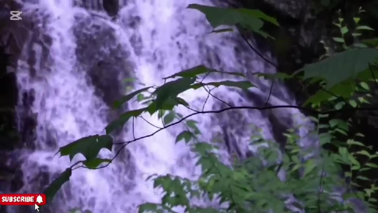 መሳጭ ክላሲካል ሙዚቃዎች Ethiopian instrumental musics collection- በአለም ትልቁ አረንጓዴ ጫካ