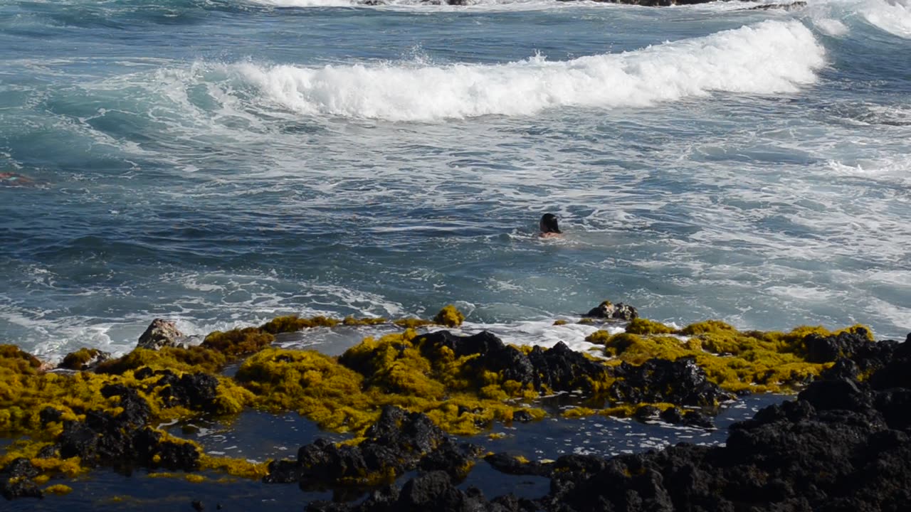 Poho'iki II