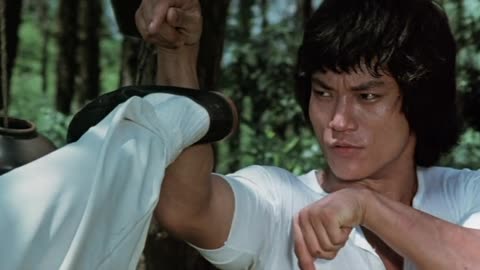 "Dragon on Fire" Starring John Liu and Dragon Lee