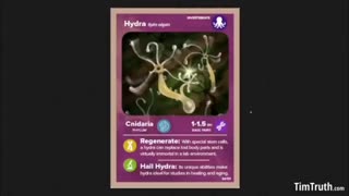 The Hydra Hivemind-One Parasite To Rule Them All