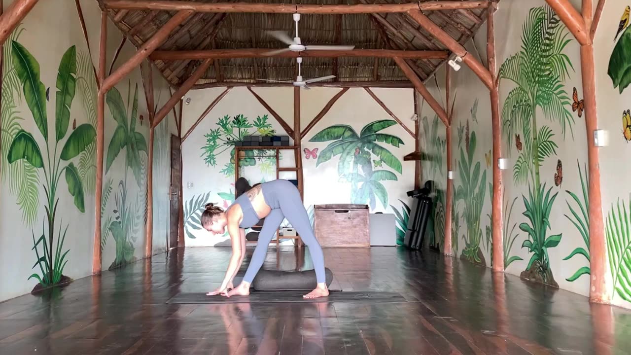 Intermediate Level Twisty Yoga Practice