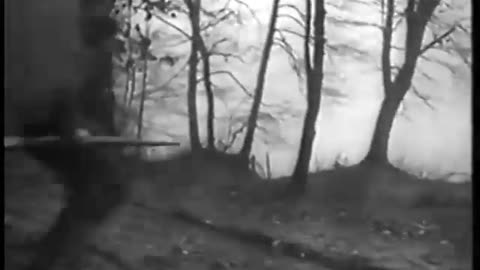 German Newsreel 745 - December 14, 1944
