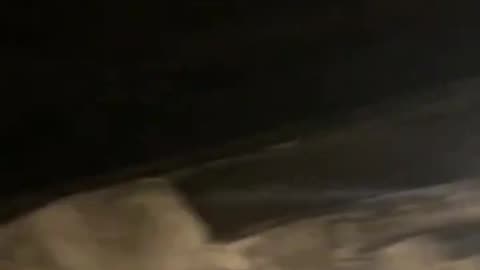 Auschwitz Tour: Accurate Version