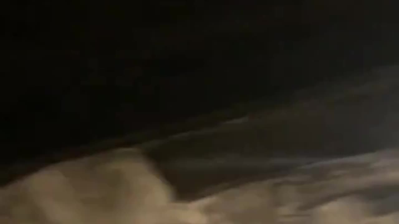 Auschwitz Tour: Accurate Version