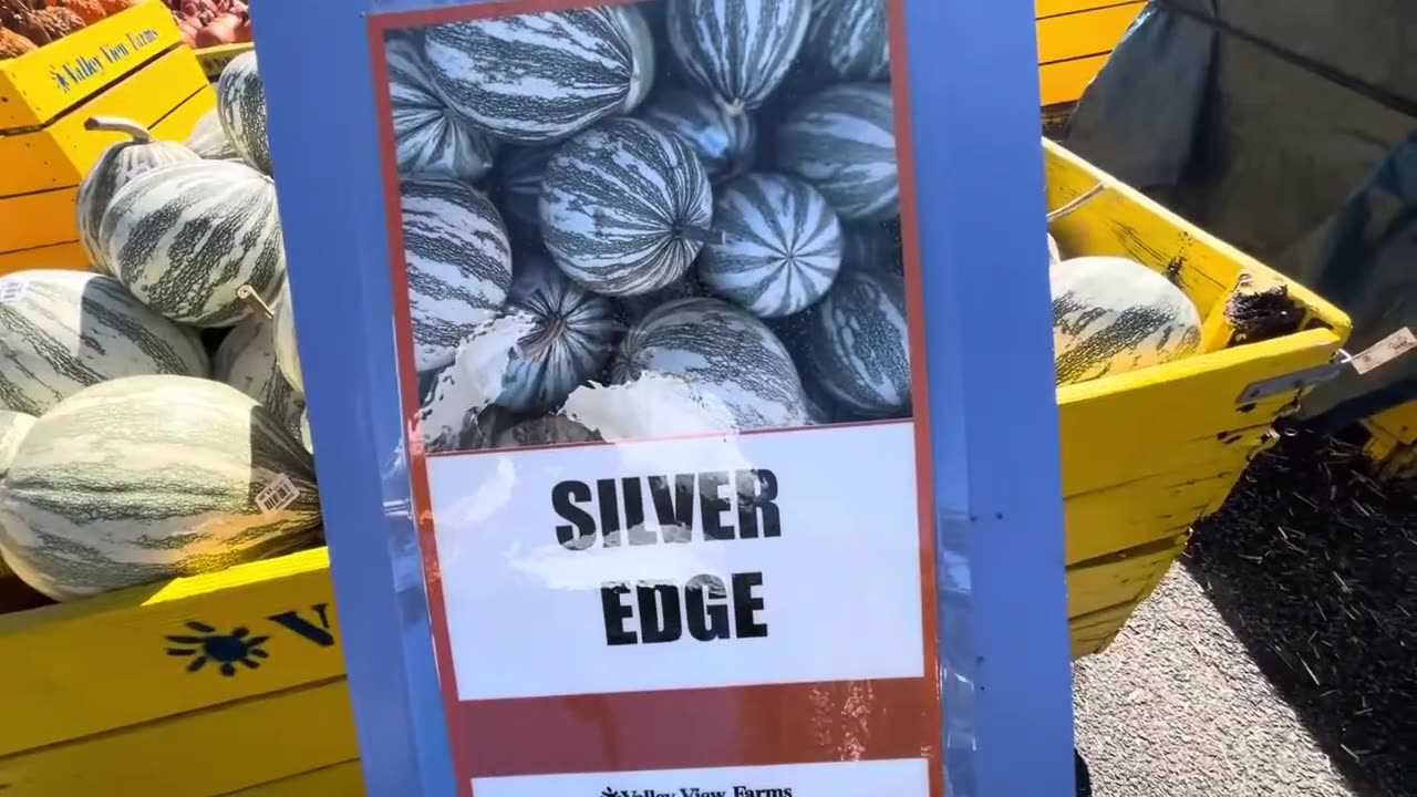 Pumpkins Show - Valley View Farms