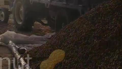 HARD POWER UNLEASHED: Bovino's Elite Border Agents Blitz Chicago, Crushing Tren de Aragua Gangs