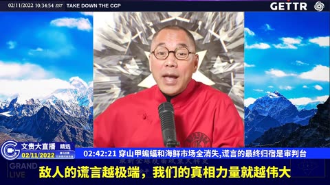 （49|60）穿山甲蝙蝠和海鲜市场全消失,谎言的最终归宿是审判台【2022年02月11日文貴大直播精选】