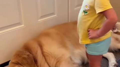 Kids Playing with Dogs and Cats | Cute Baby & Pet Friendship Moments 🐶🐱