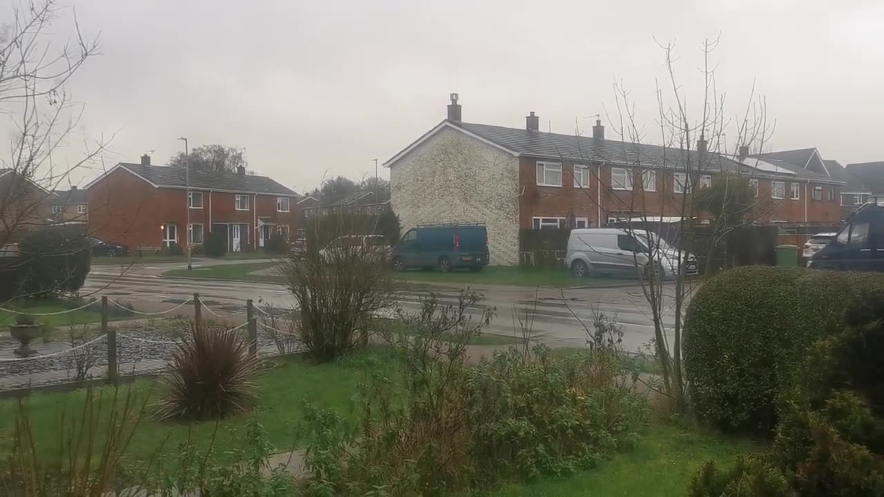 No Black Killer Dog Wolf Sandringham Serial Killer / Here