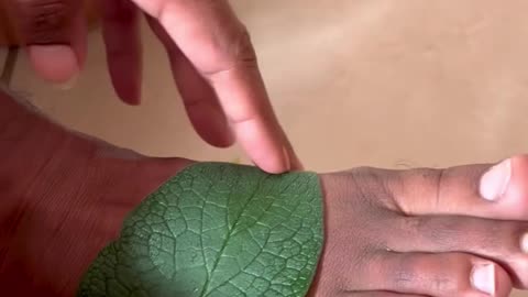 Comprey Miracle plant with Testimony