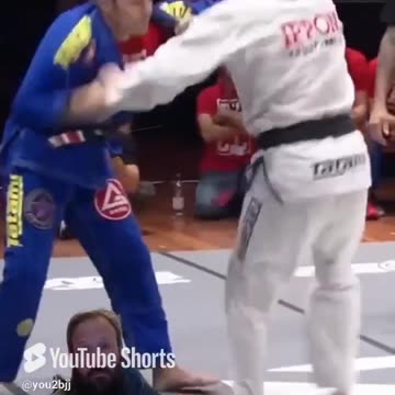 What means 2 points in BJJ