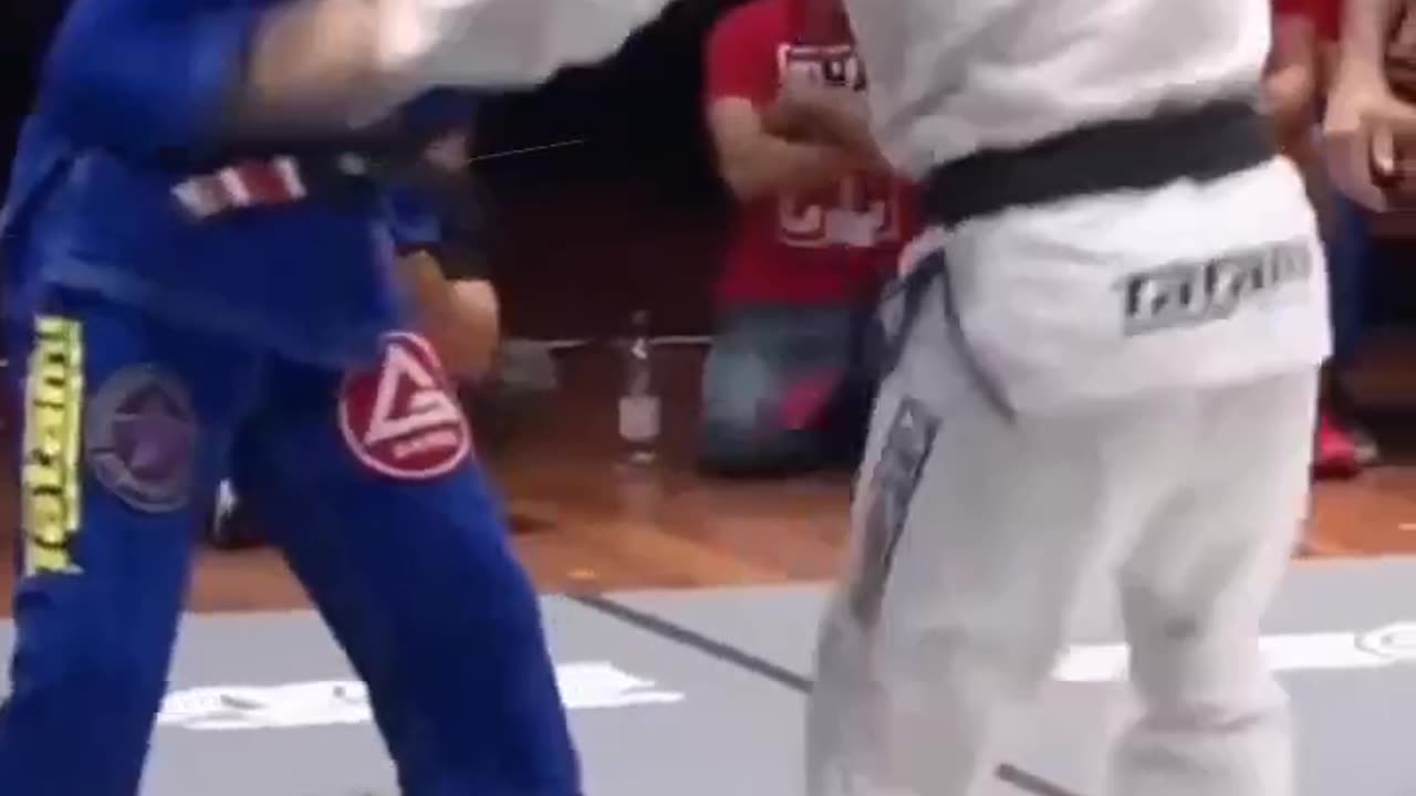 What means 2 points in BJJ