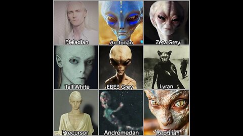 WHAT REAL ALIENS MIGHT LOOK LIKE…..
