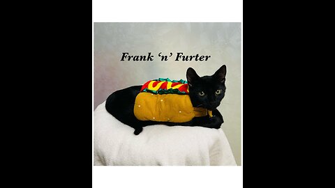 Frank n Furter