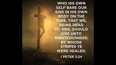 1st Peter 2 (Part 3) Read and Explained