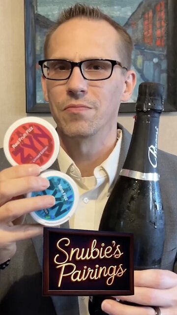 Zyn Fizz Nicotine Pouches Review