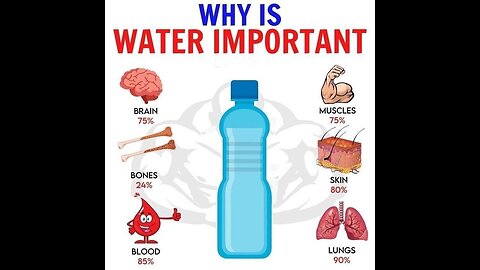 Why is water important