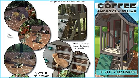 Coffee Shop Talk 37 LIVE | Sept. 27, 2025 | The Kitty Mansion!