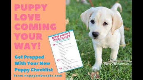 Say your puppy's name in a cheerful voice.