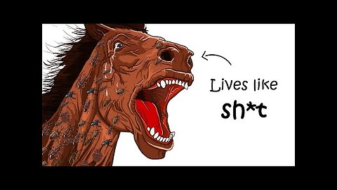 🐎 Why It Sucks to Be Born as a Horse | The Harsh Reality of a Horse’s Life 😨🌍