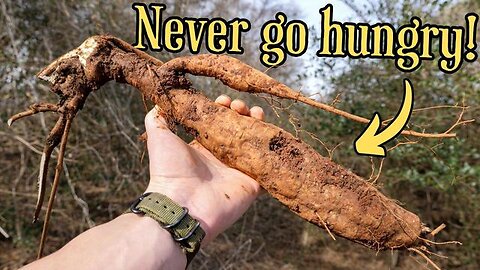 FORAGING: THE TRUTH ABOUT AMERICA'S MOST INVASIVE PLANT [2025-02-19] - FERAL FORAGING