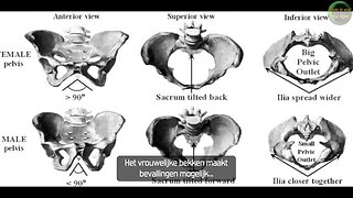 Mr.E - MTF & FTM as an example Madonna