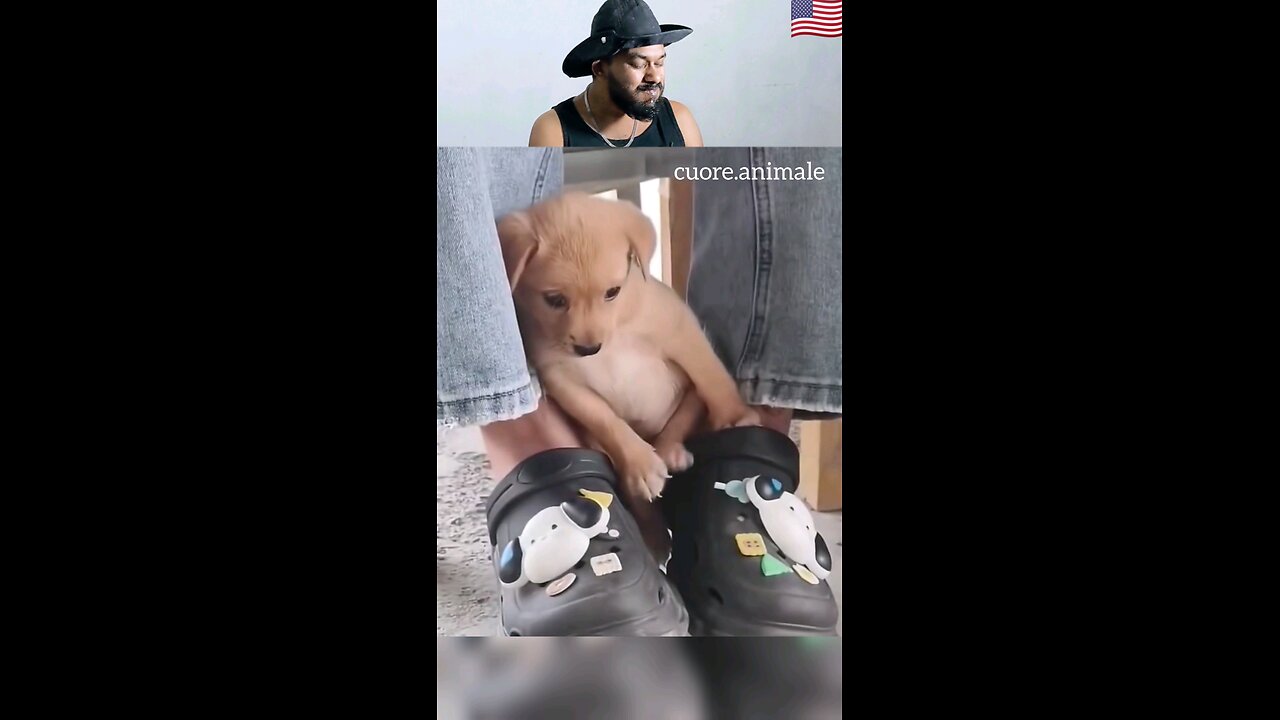 trynottolaugh part 186