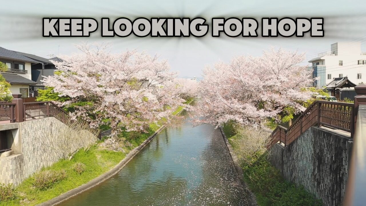 Cherry Blossom ❤️❤️❤️