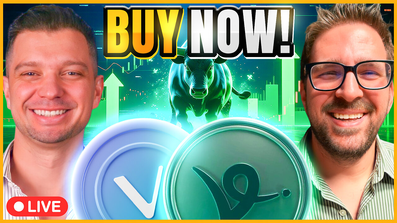 Crypto Projects to Buy (VeChain, Virtuals)