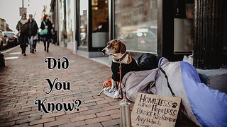 The Hidden Homelessness Crisis: Environmental Illness