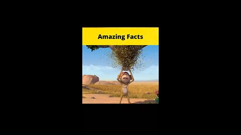 Amazing Fact Videos