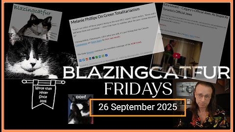 Blazing Cat Fur Fridays! - 26 Sep 25