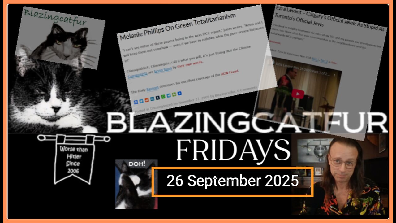 Blazing Cat Fur Fridays! - 26 Sep 25