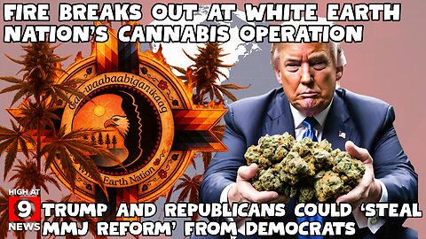 Trump And Republicans Could ‘Steal Marijuana Reform’ From Democrats, Progressive PAC Warns