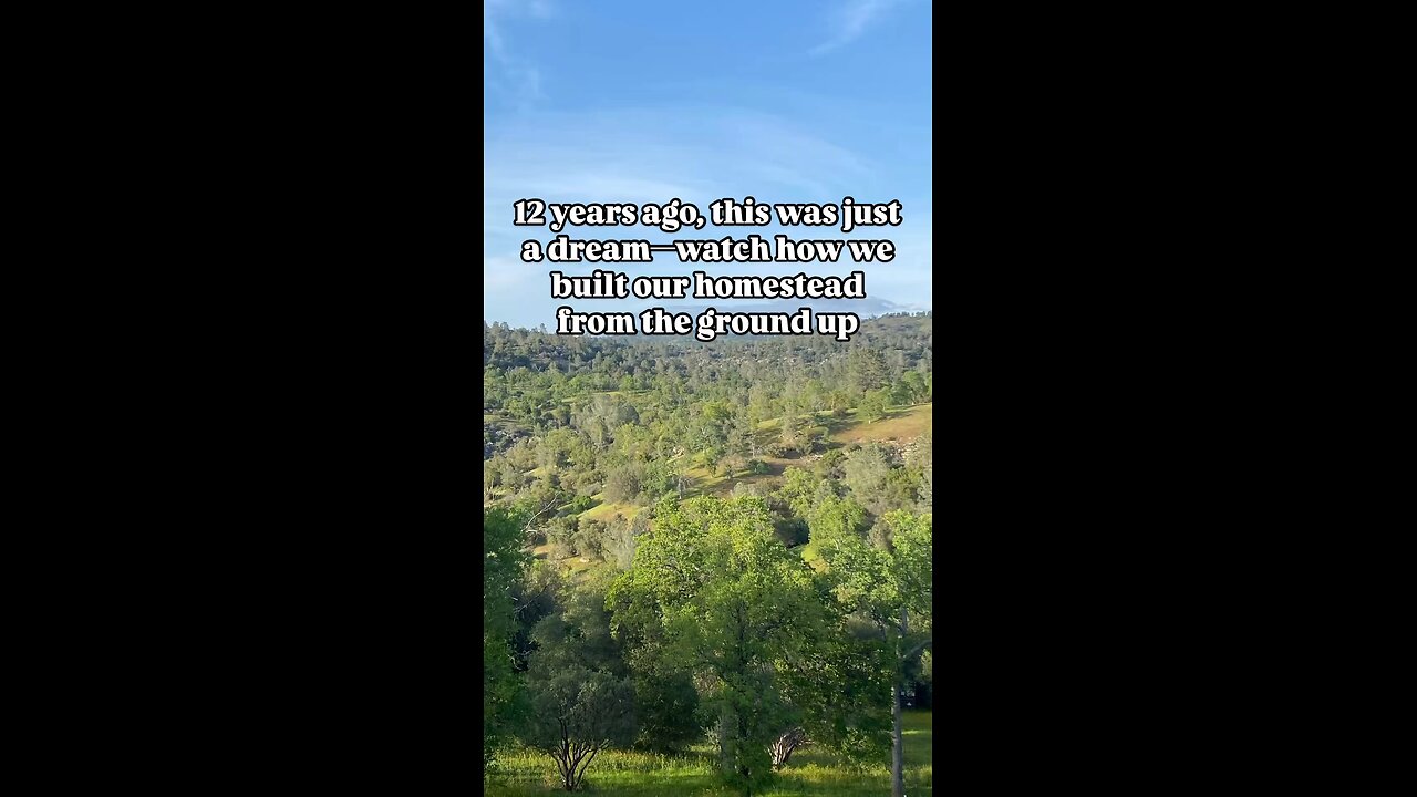 12 years ago, we started with nothing but a dream—now it’s a thriving homestead-Here’s a recap