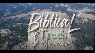 Who cut down the trees?