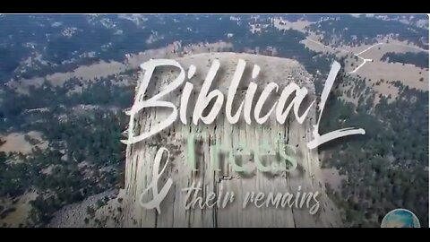 Who cut down the trees?